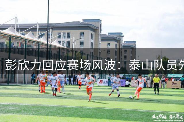 彭欣力回应赛场风波：泰山队员先辱骂 否认打人和不雅手势